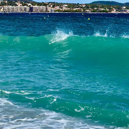 Les Cactus * Фрежюс