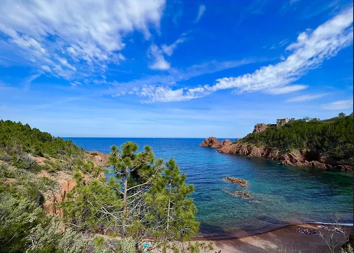 Les Cactus * Fréjus