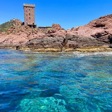 Les Cactus 公寓 Fréjus