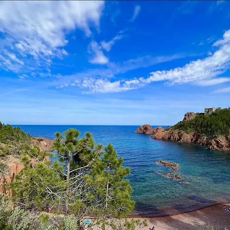 Les Cactus * Fréjus