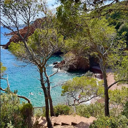 Appartement Les Cactus