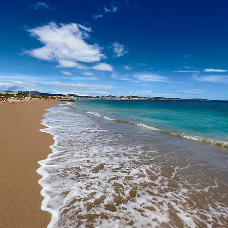 Les Cactus * Fréjus